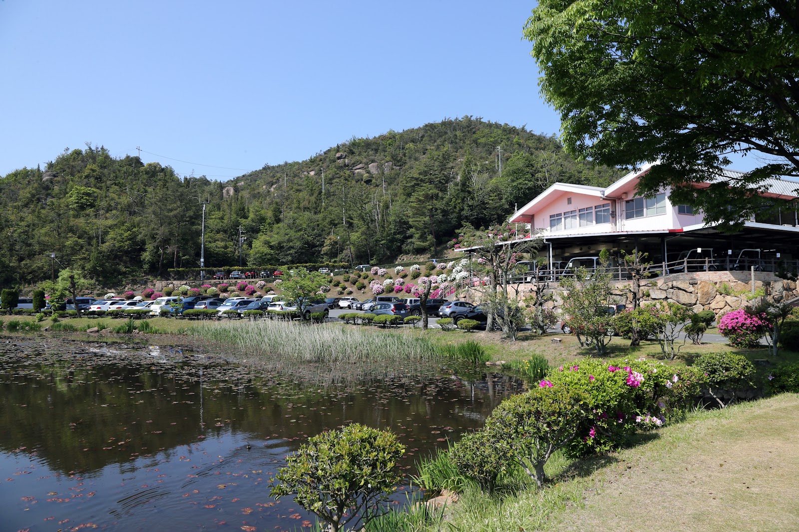 Tamano Golf Club - 4