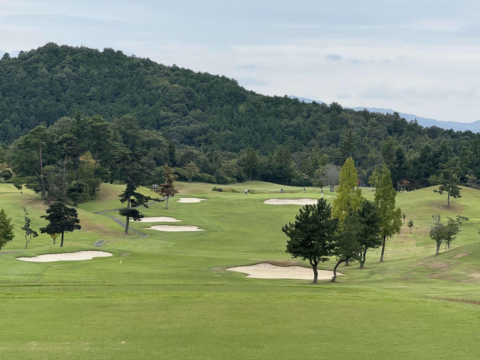 Hino Golf Club - 2