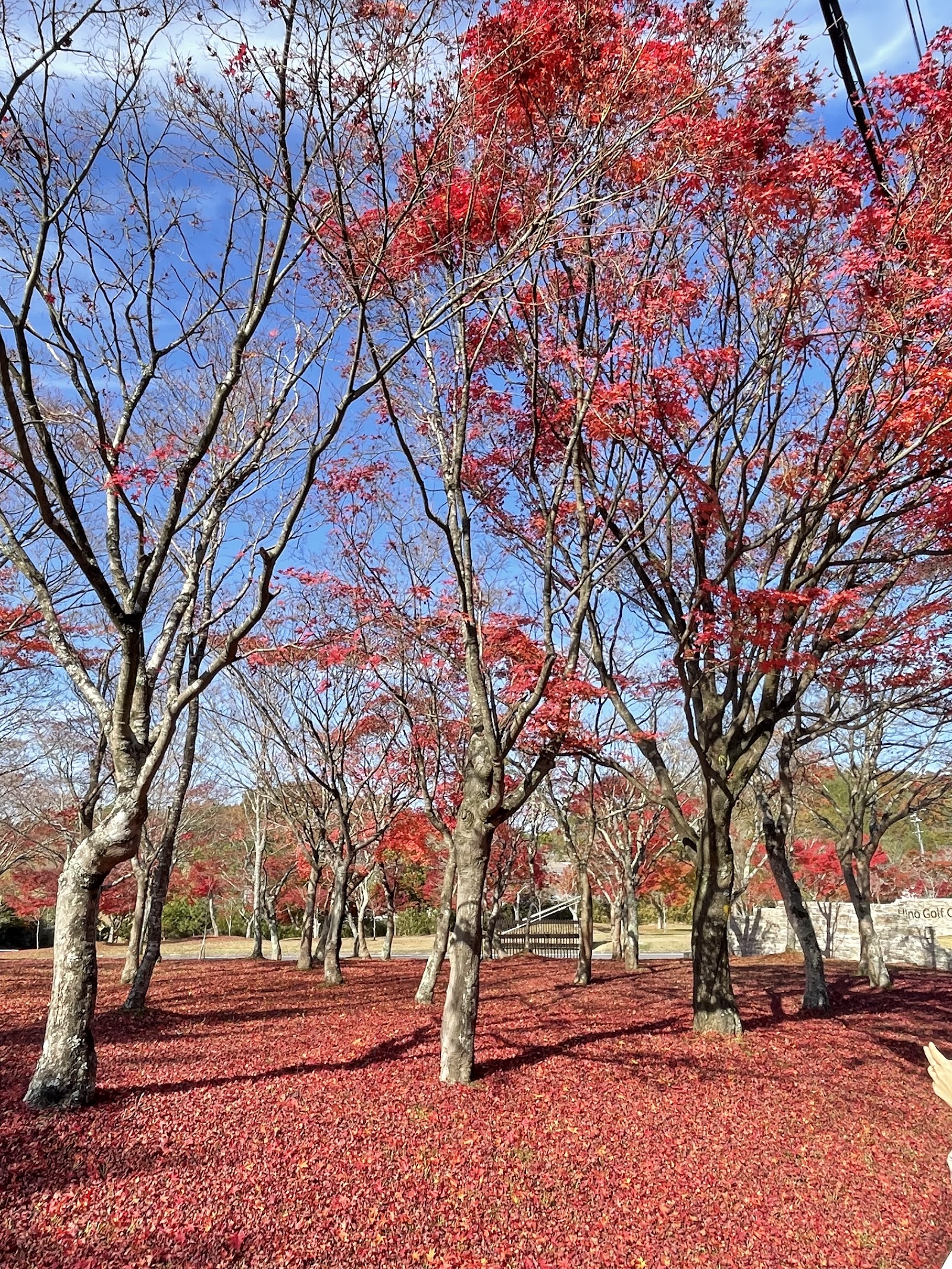 Hino Golf Club - 5