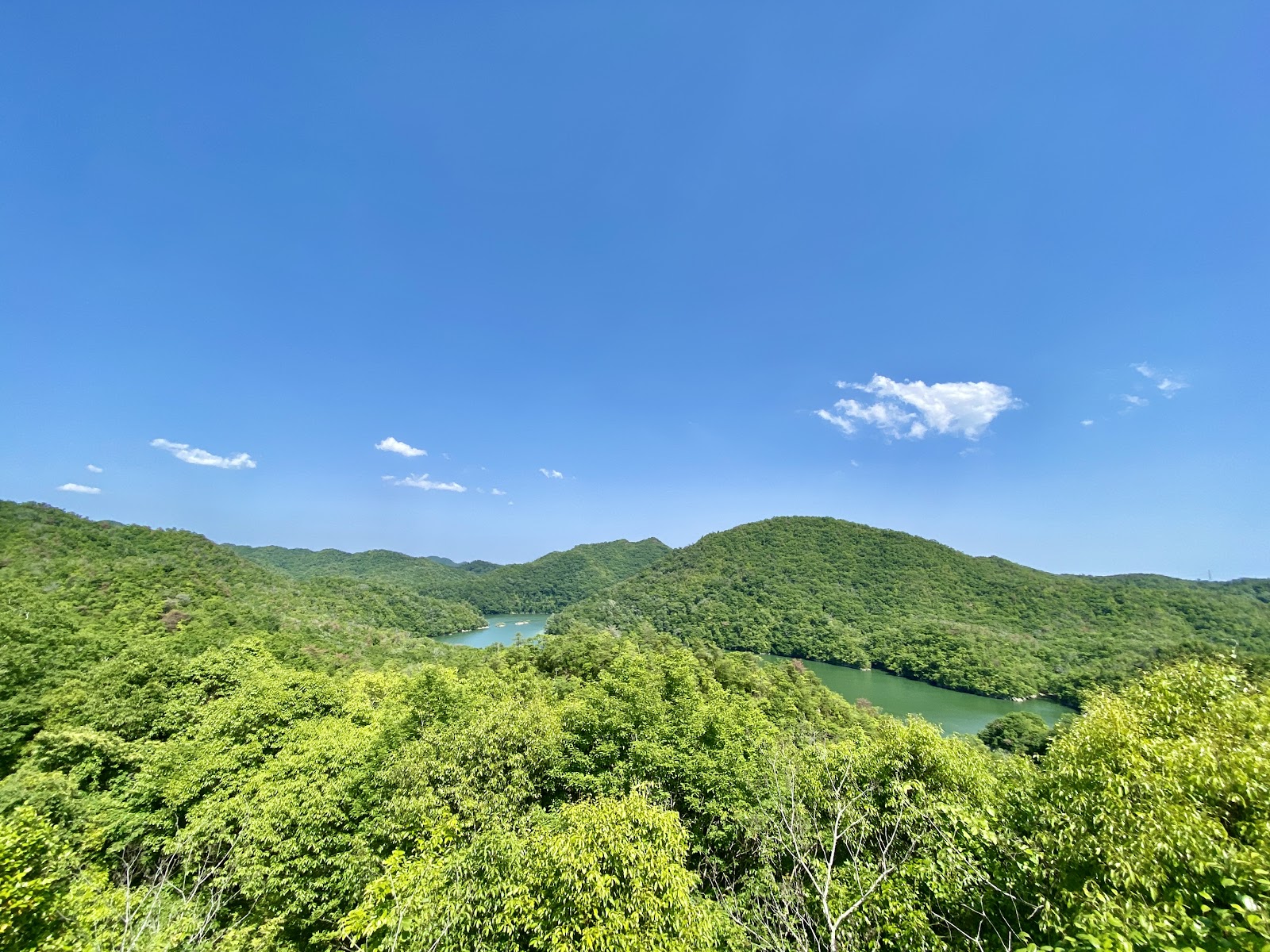 Senkaribahshi Country Club - 5