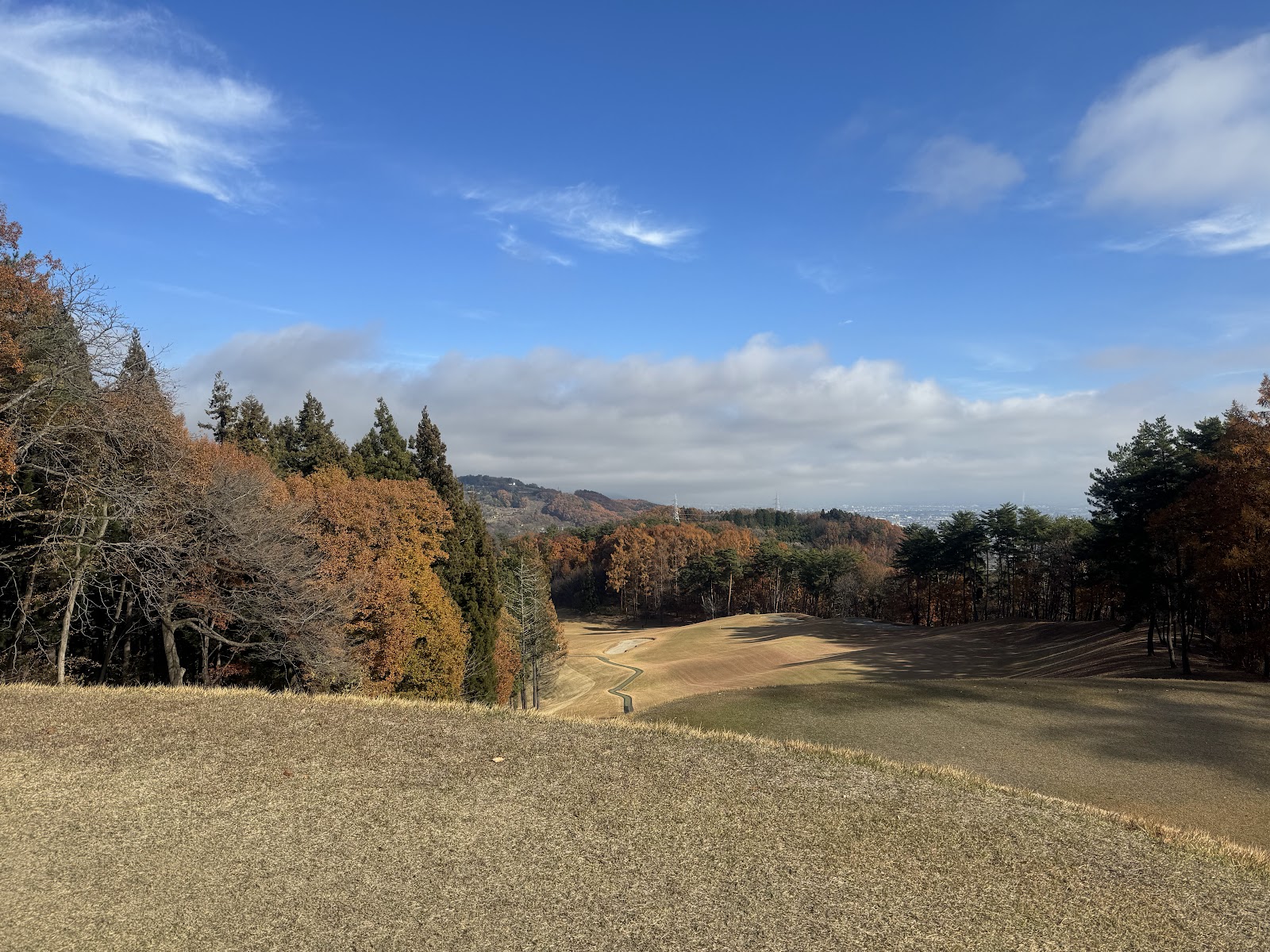 Weego Country Club - 2