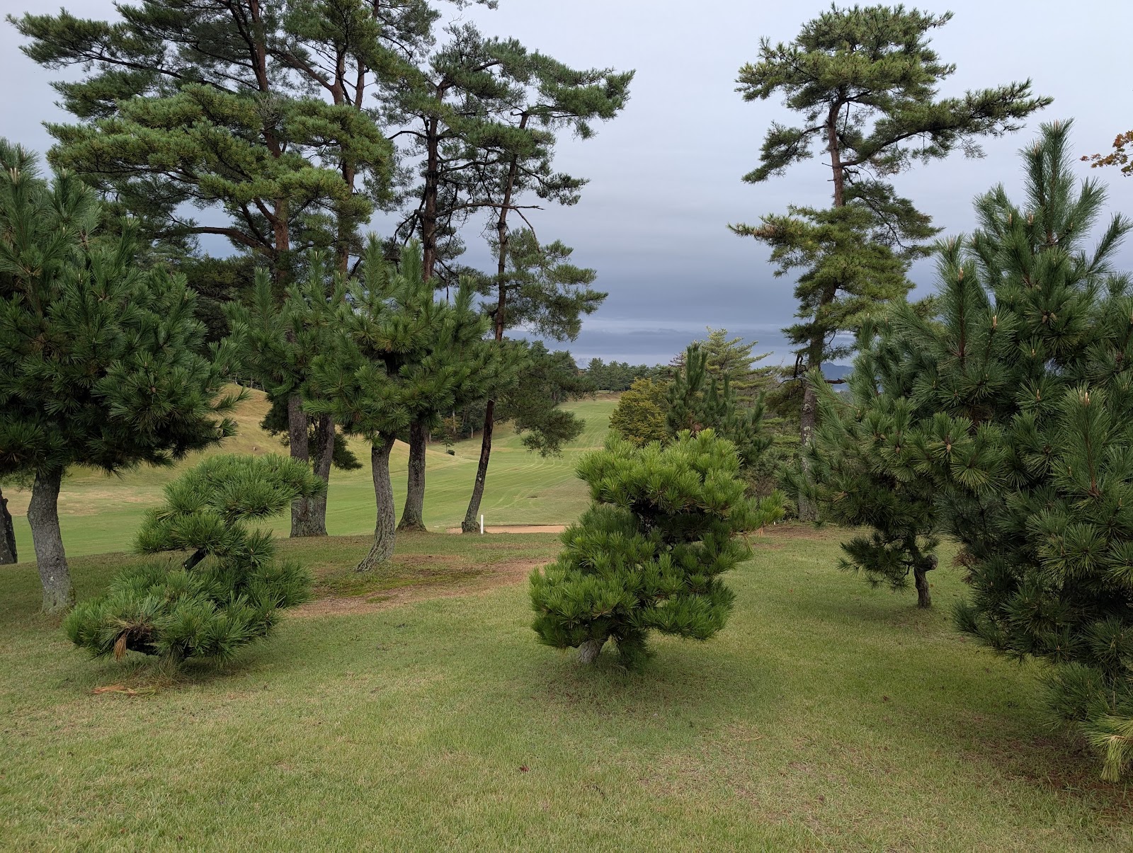 Nihon-kai Golf Club - 5
