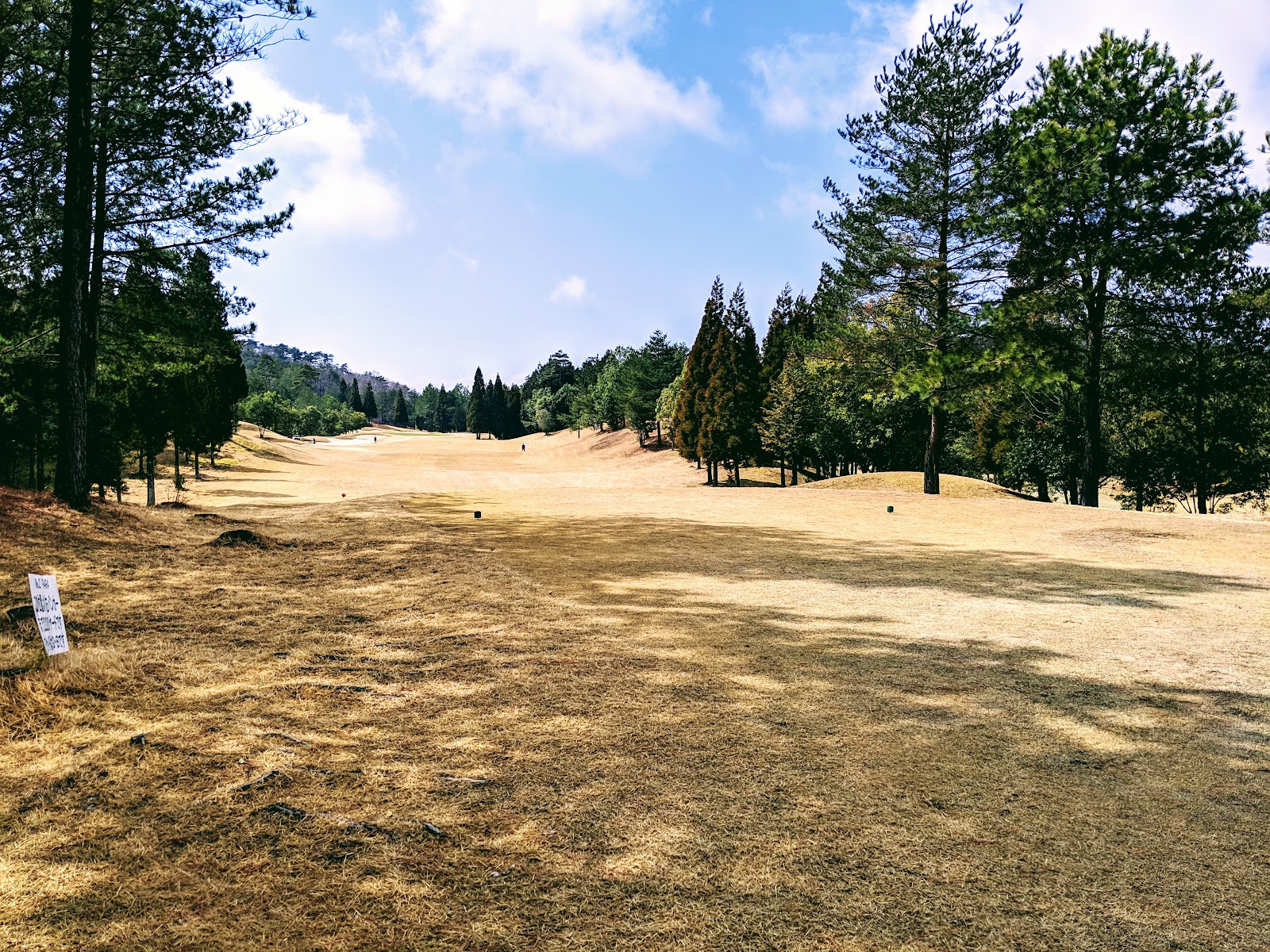 Sunforest Golf Club - 4