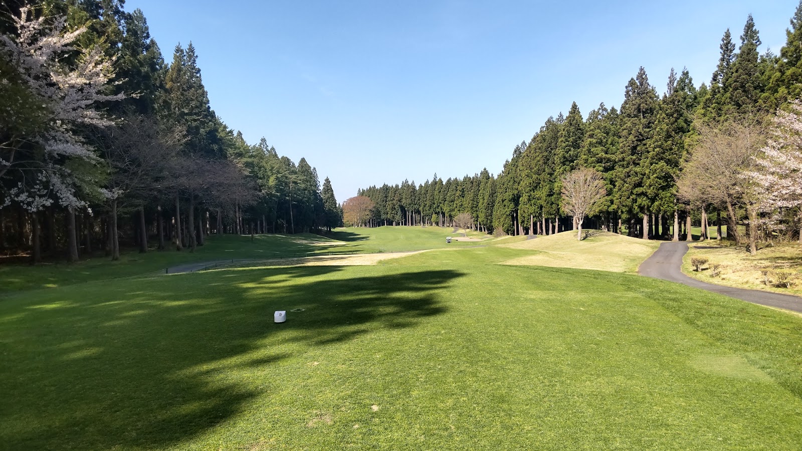 Michinoku Kokusai Golf Course - 2
