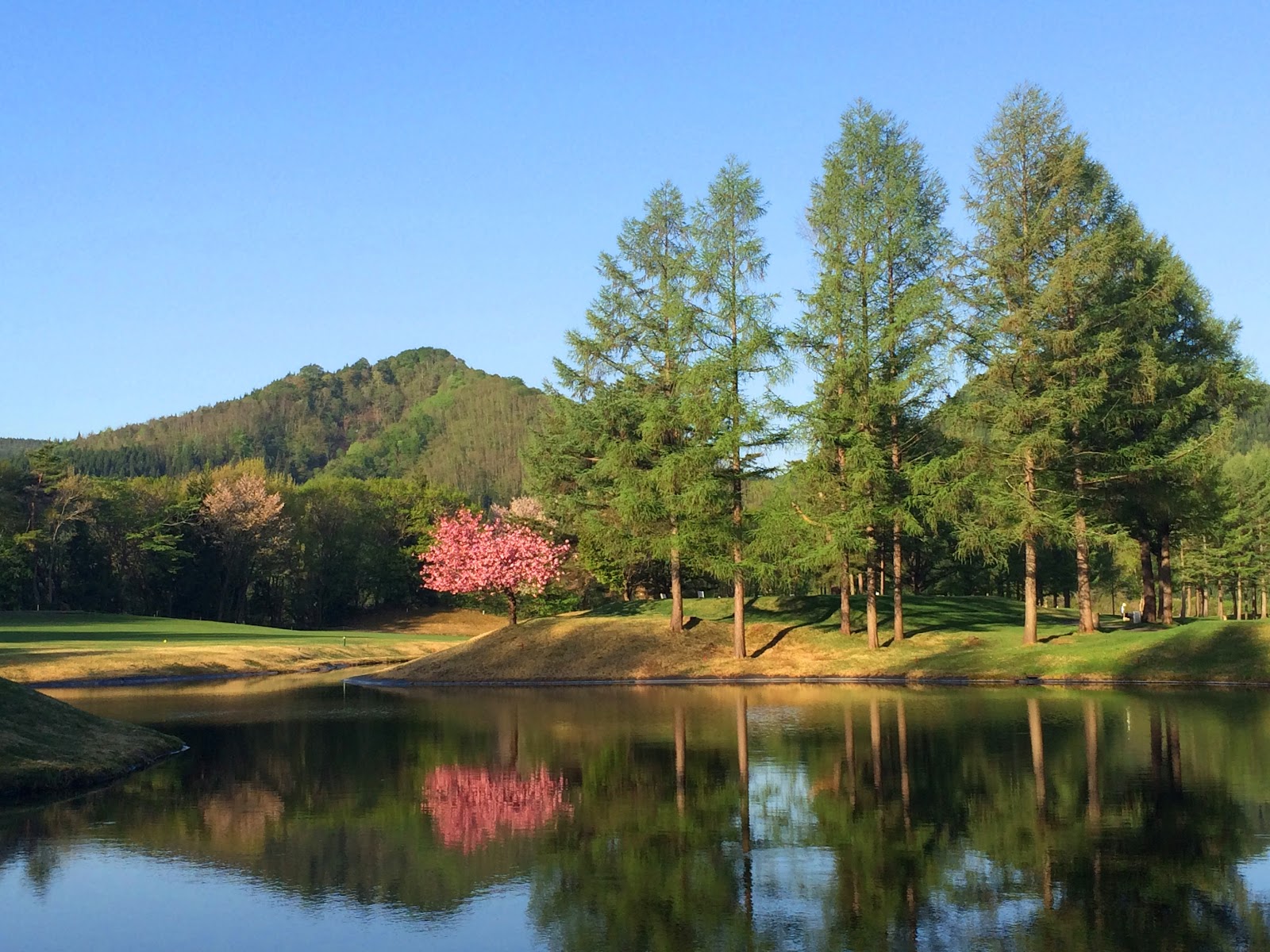 Biwa-no-taira Golf Course