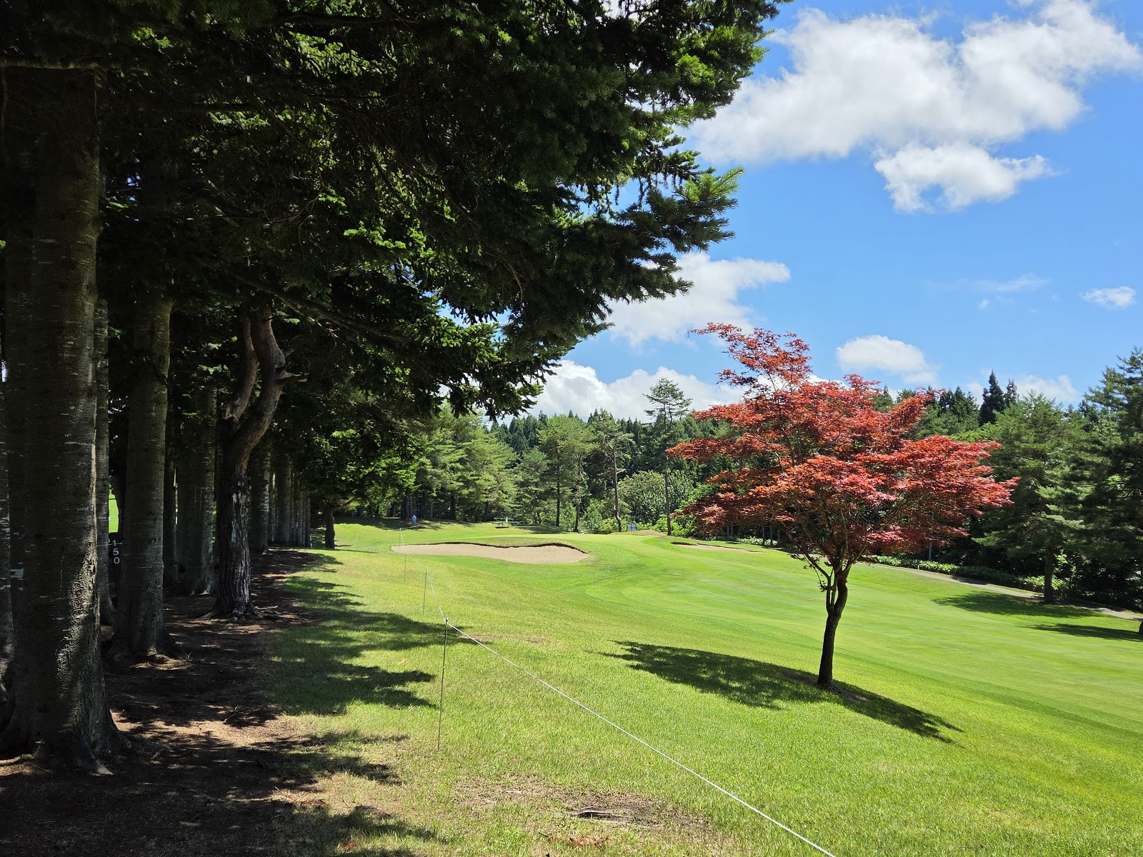Aomori Golf Club - 4