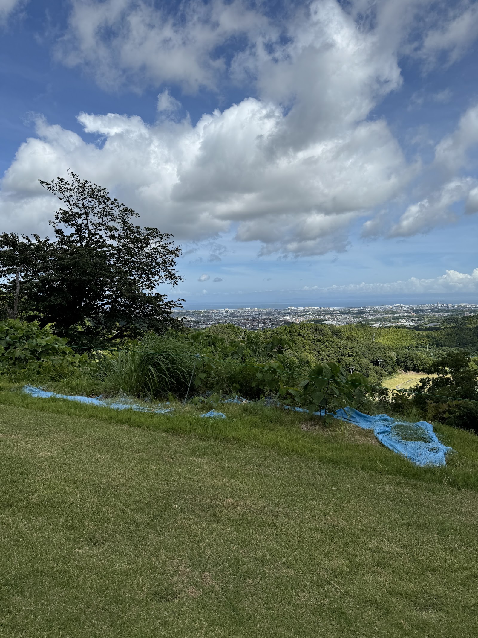 Shoji Golf Club - 3