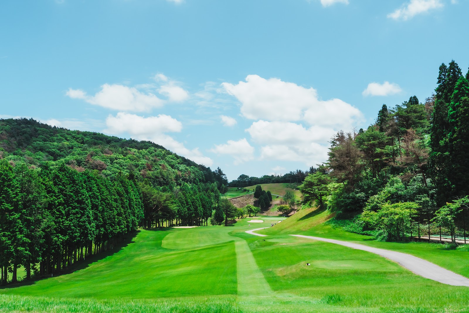 Hyogo Country Club