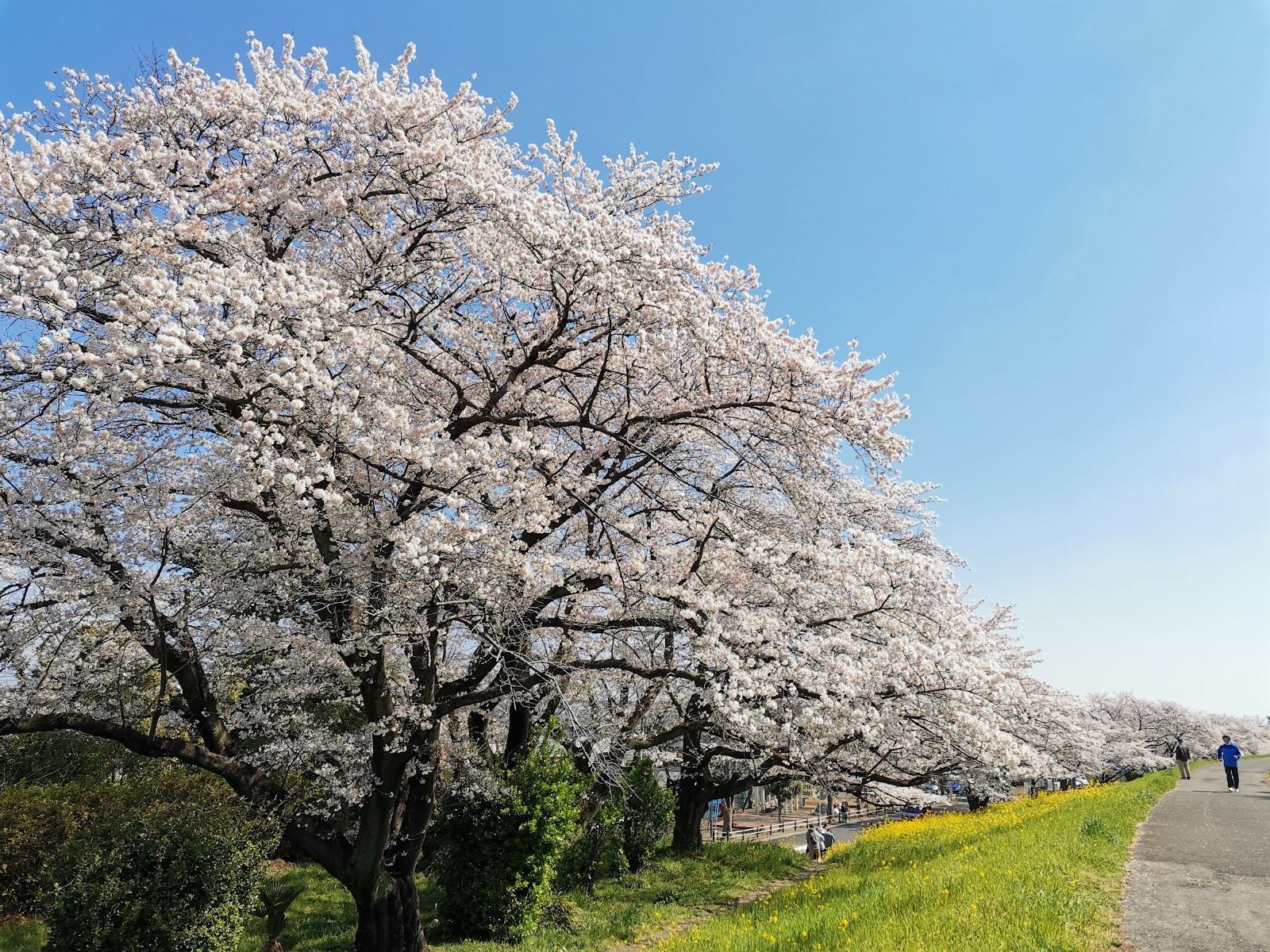 Kumagaya Golf Club - 3