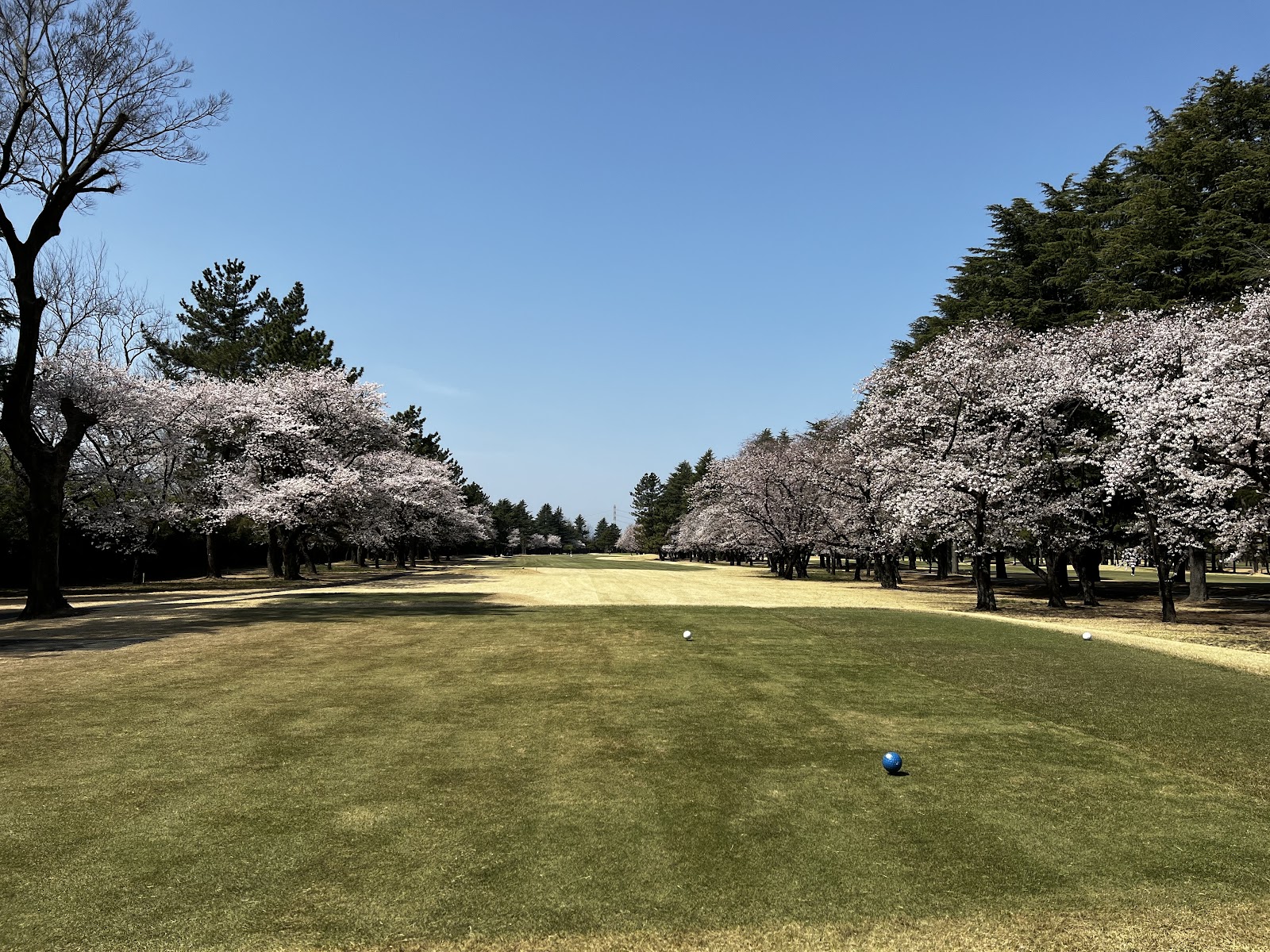 Kumagaya Golf Club - 6