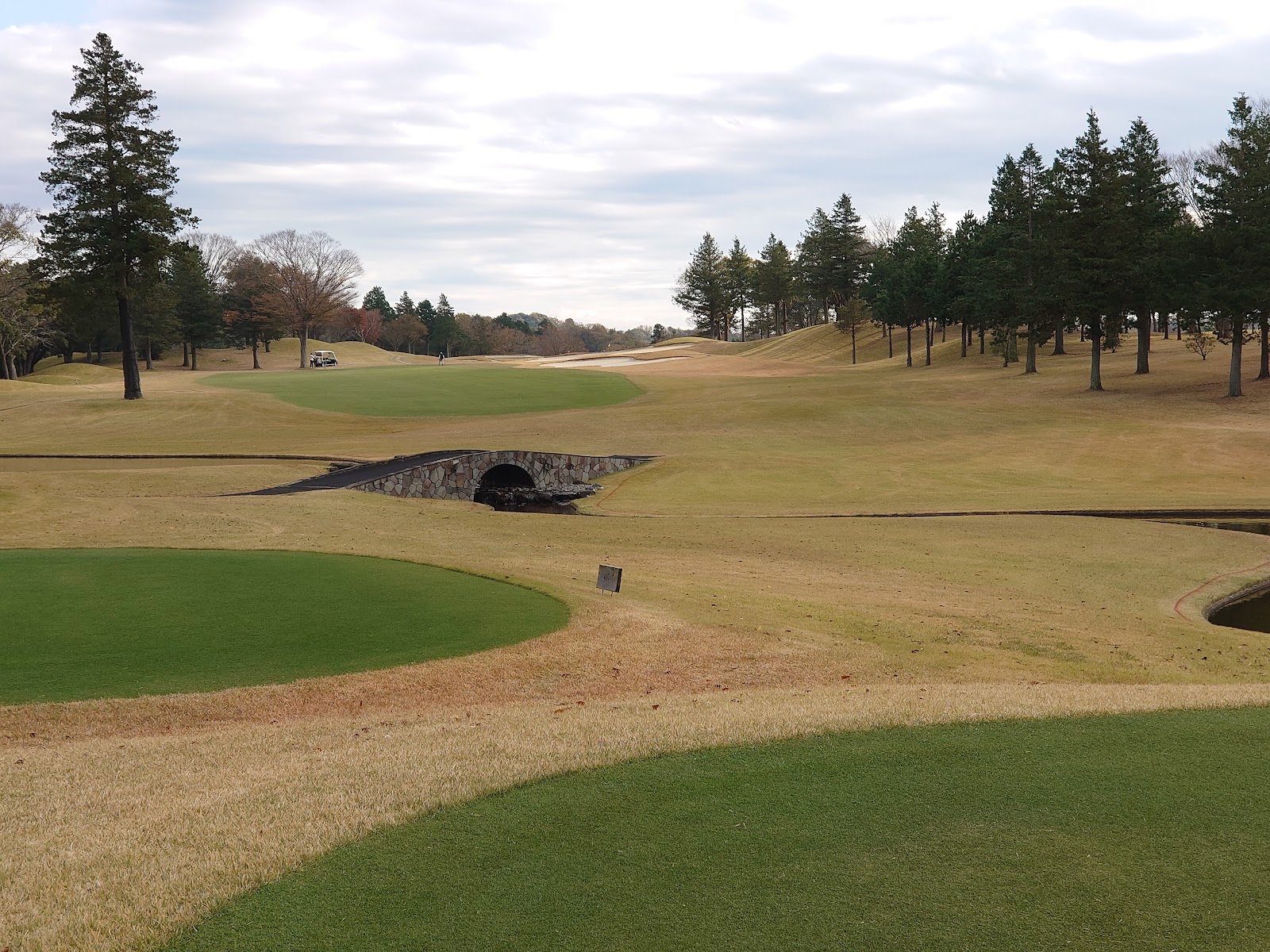 King Fields Golf Club - 3