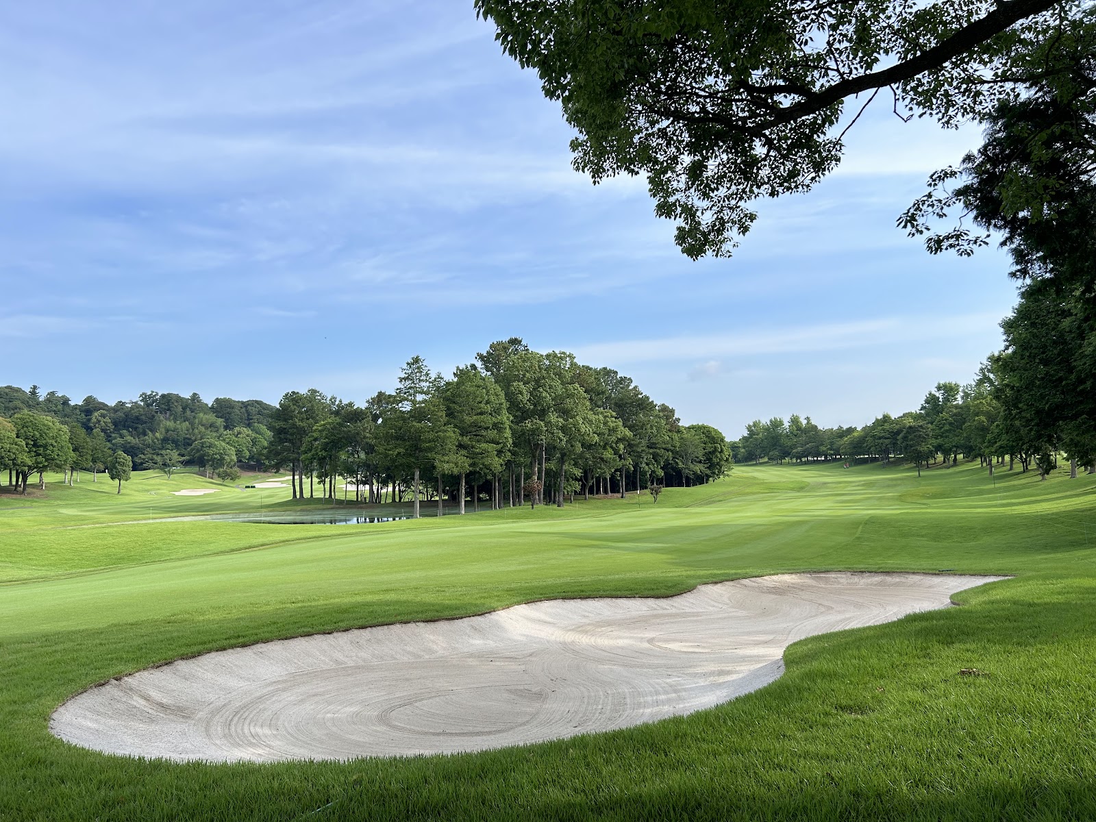 Camellia Hills Country Club