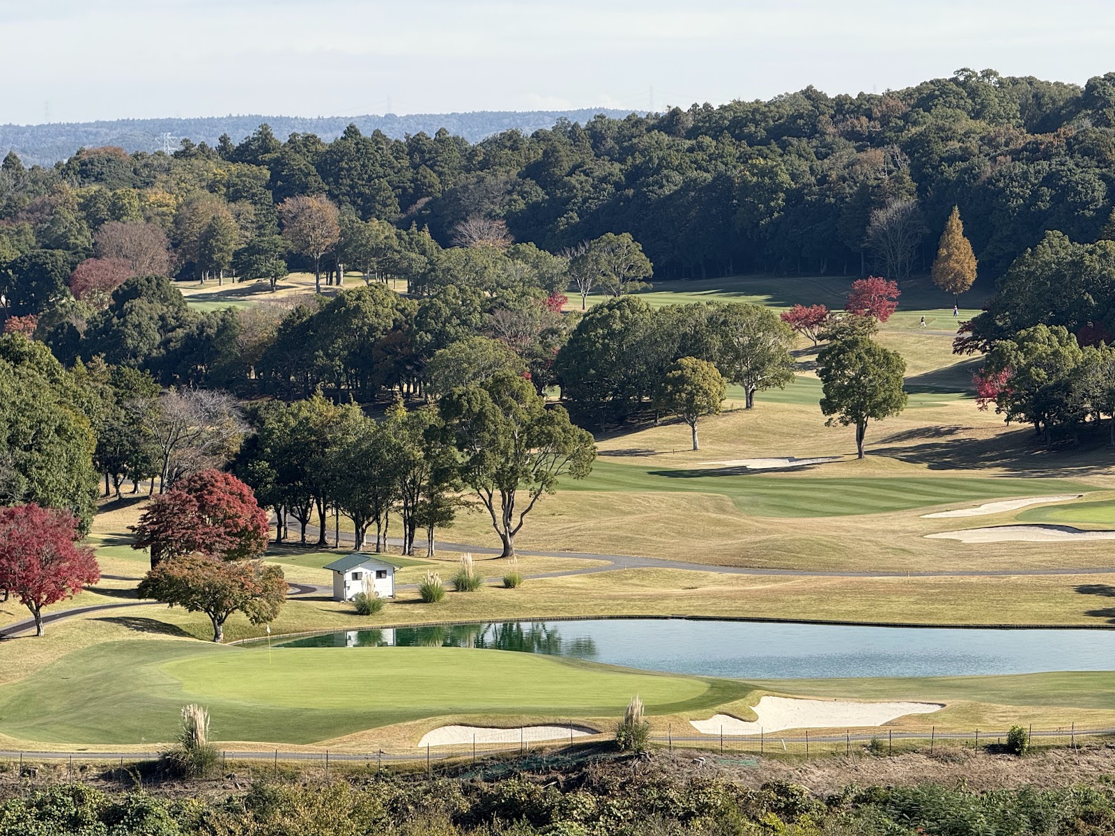 Camellia Hills Country Club - 2