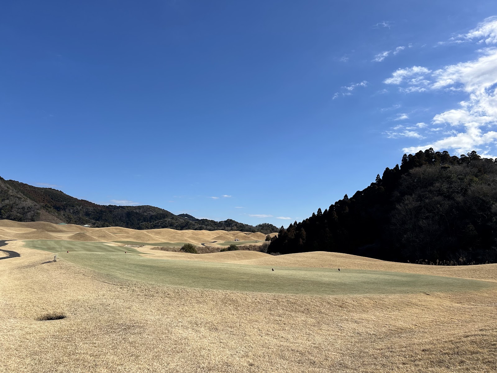 Shin-Kimitsu Bell Green Country Club - 5
