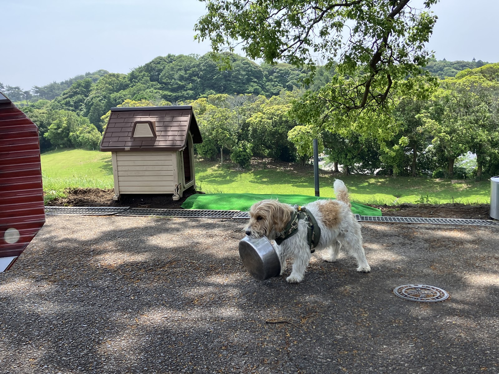 Ichinomiya Country Club - 4