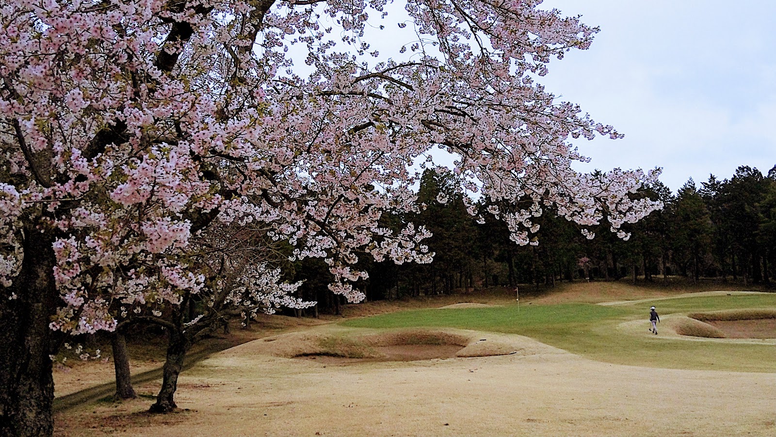 Shin-Chiba Country Club - 4