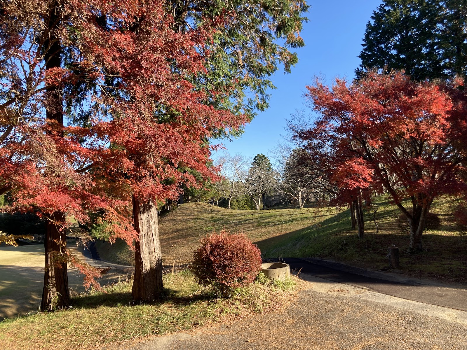 Shin-Chiba Country Club - 6