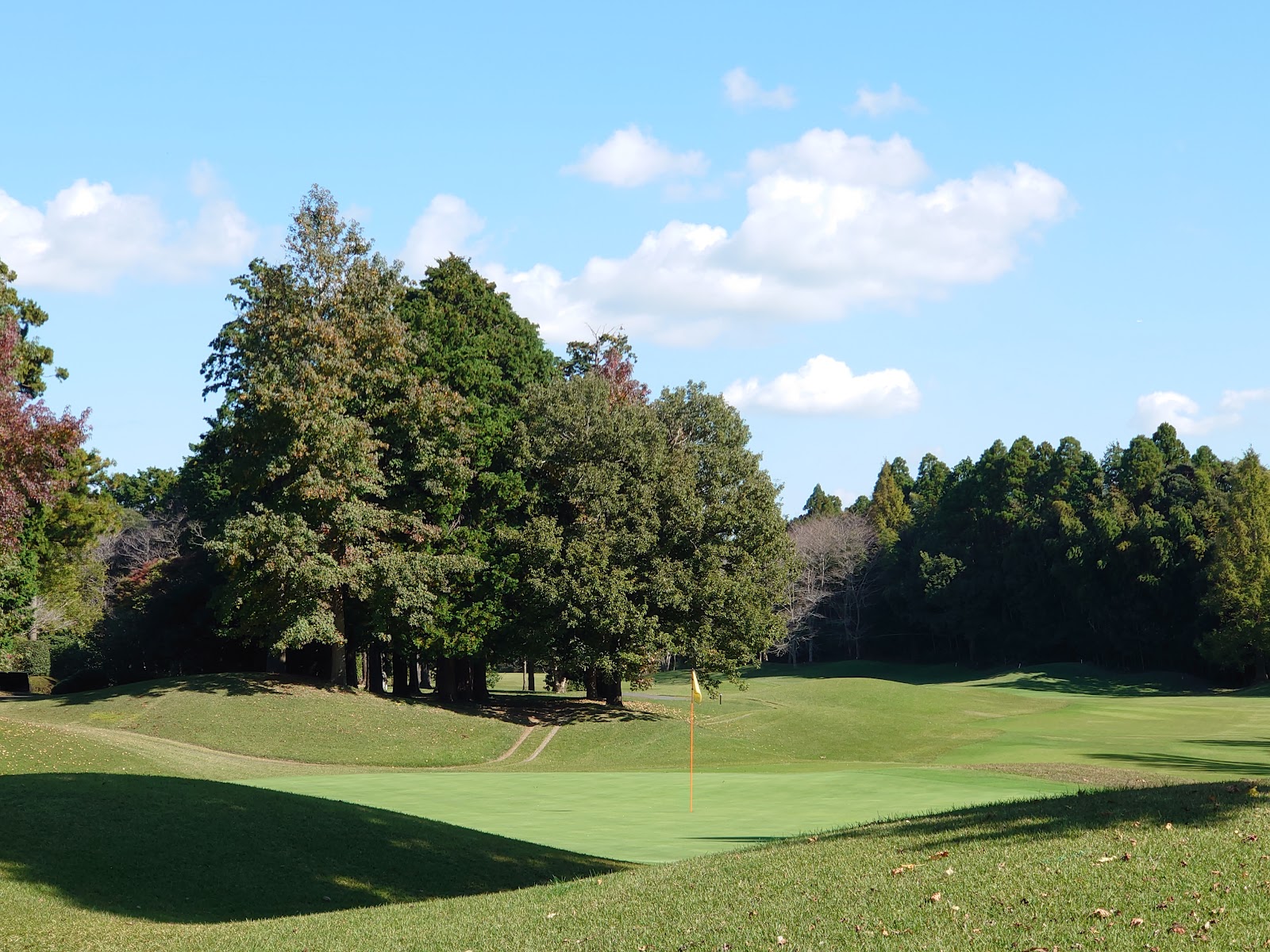 Caledonian Golf Club - 3