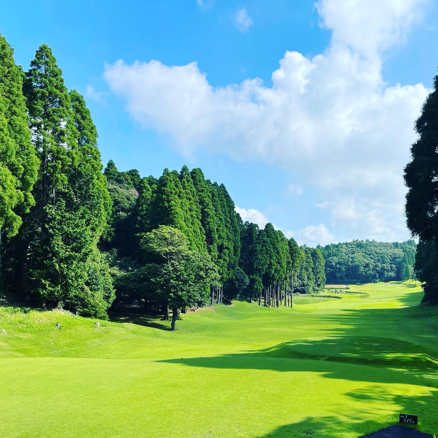 Laforet & Matsuo Golf Club - 2