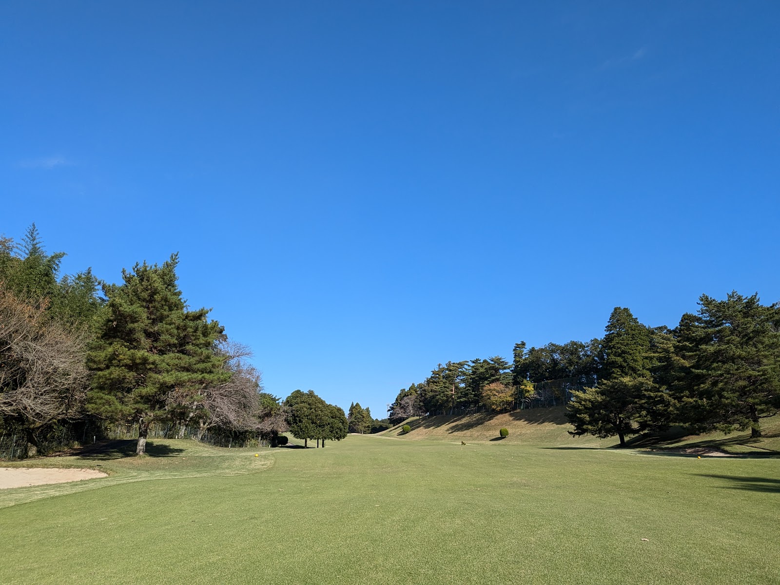 Sakura Country Club - 2
