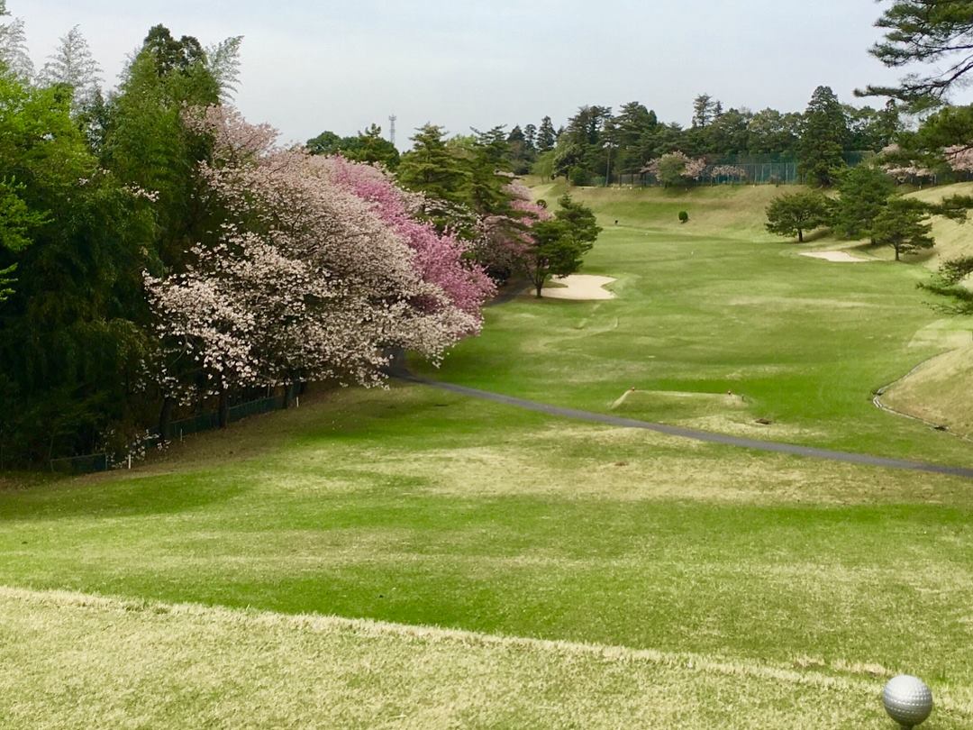 Sakura Country Club - 3
