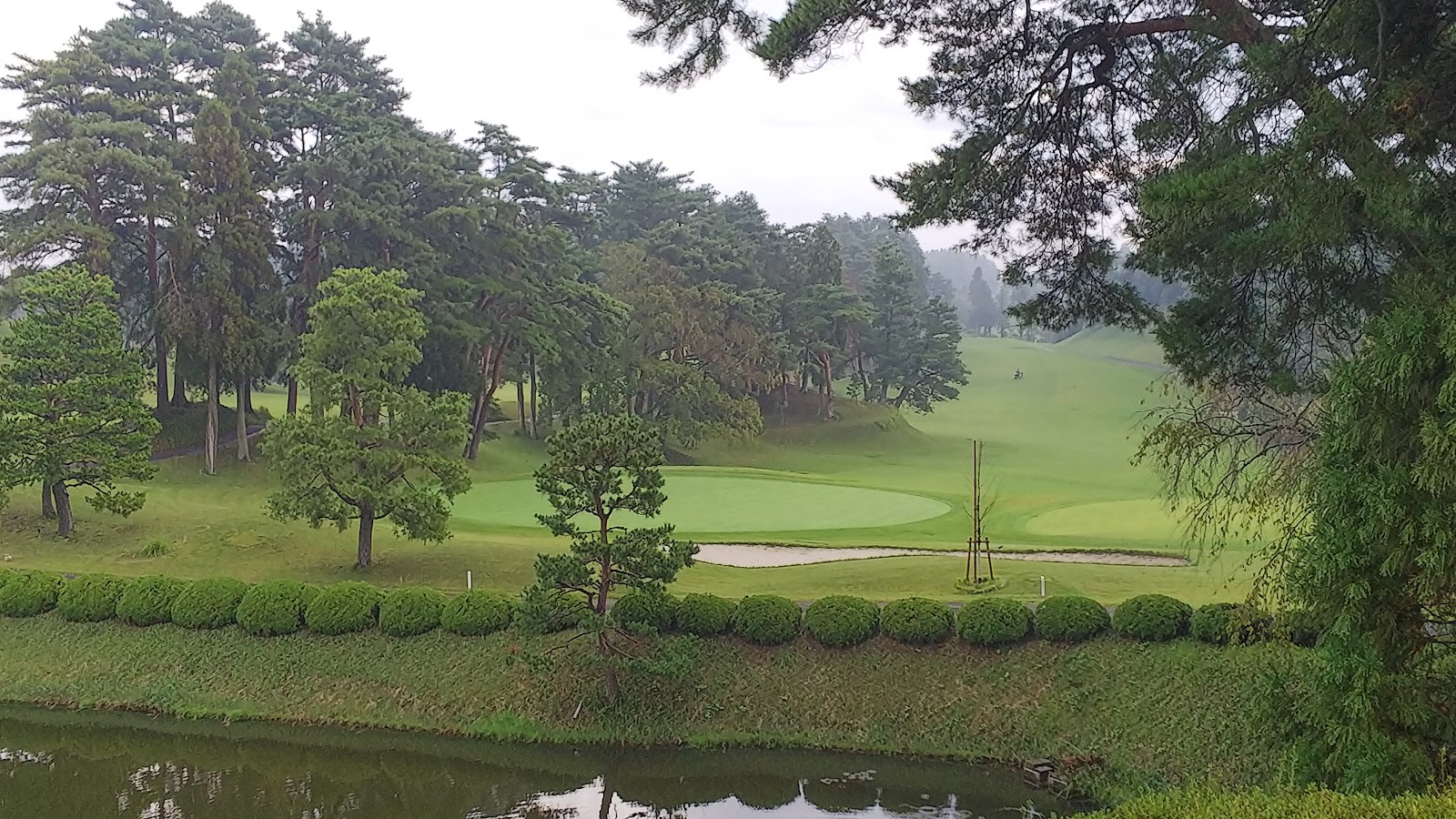 Sakura Country Club - 5