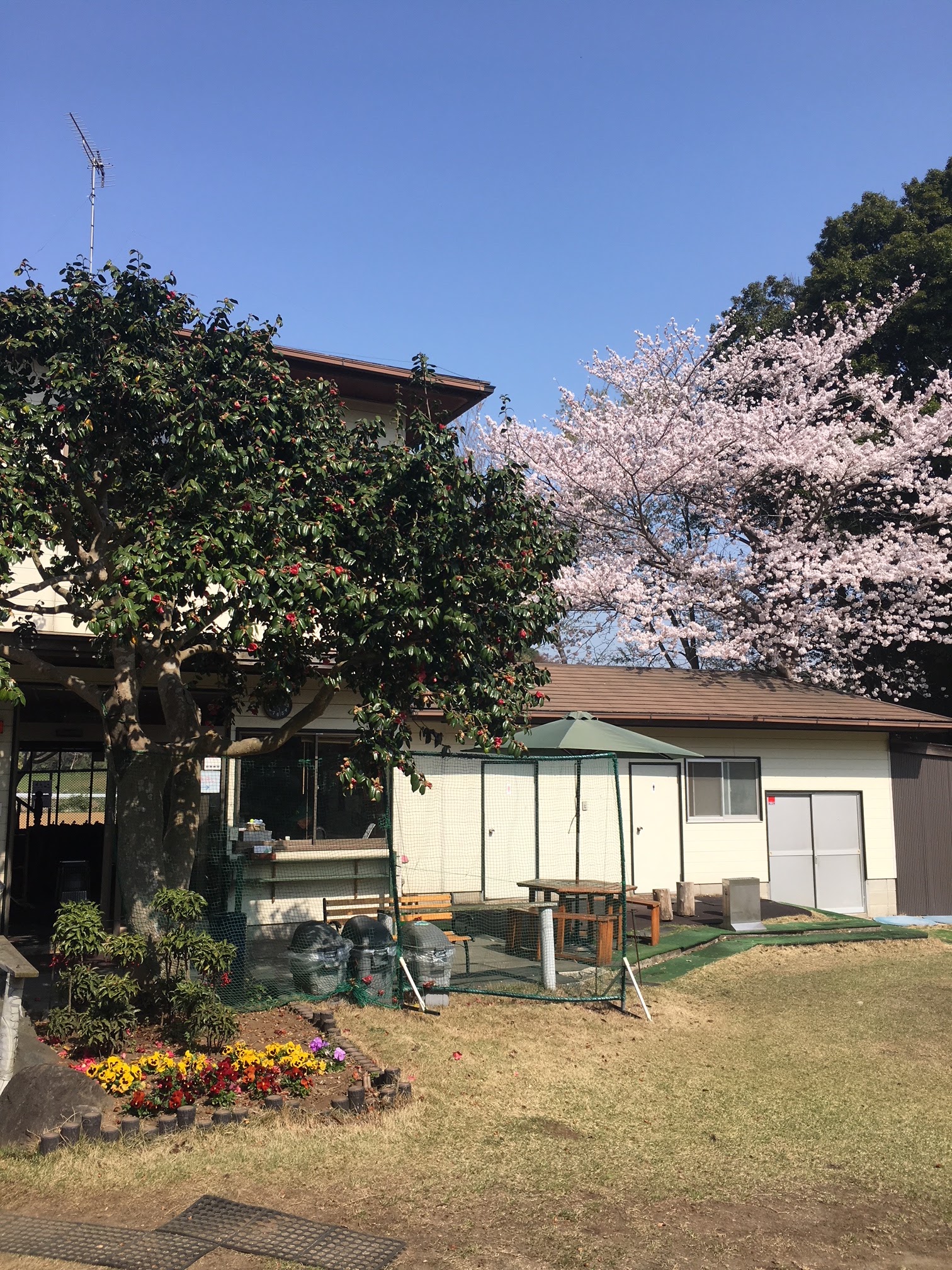 Numakami Golf Forest Course - 5
