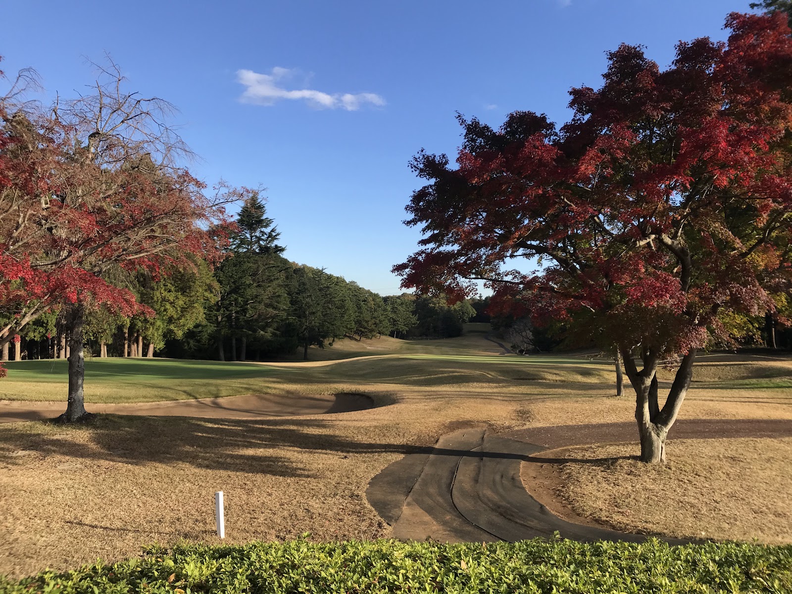 Fujigaya Country Club - 5