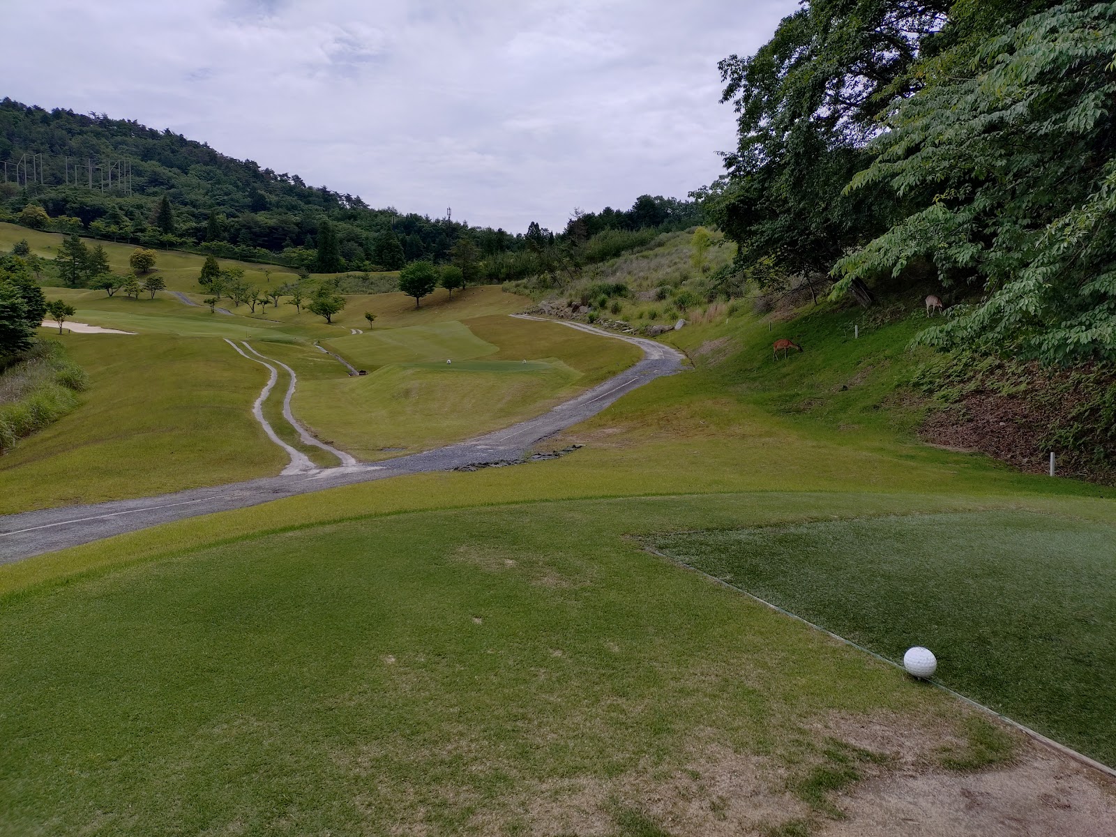 Reisen Golf Club - 5