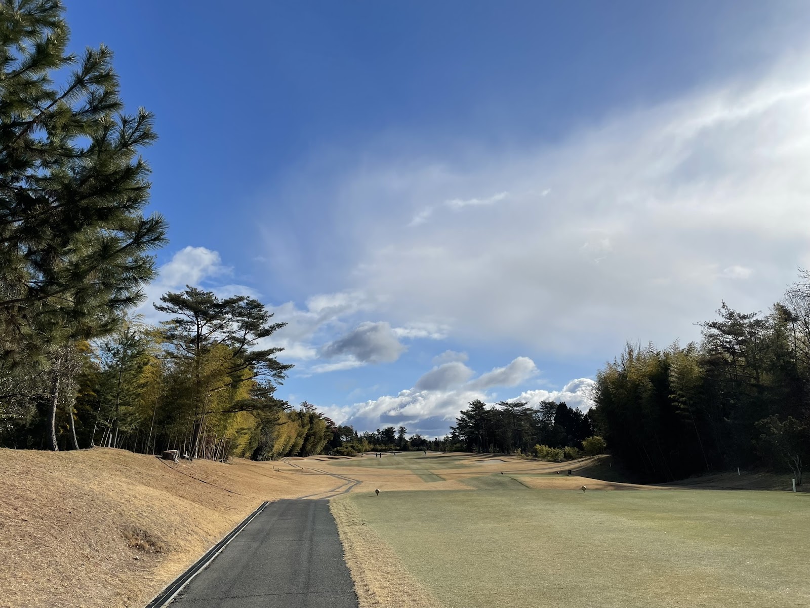 Ono Toyo Golf Club - 4