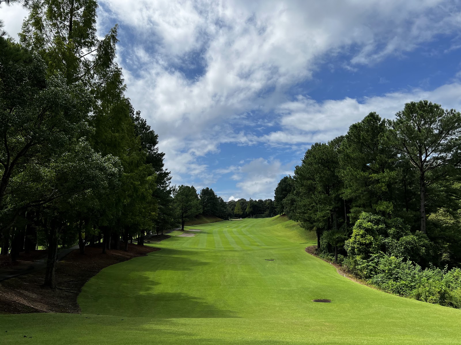 Yashiro Tojo Golf Club - 2