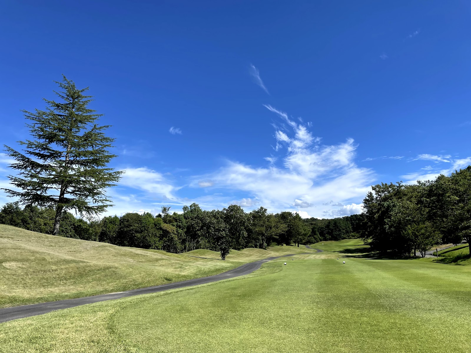 Tojo Golf Club