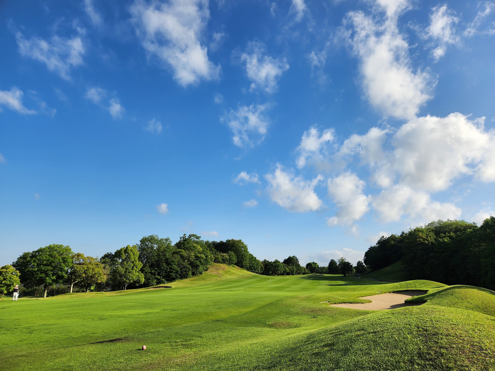 Forest Miki Golf Club