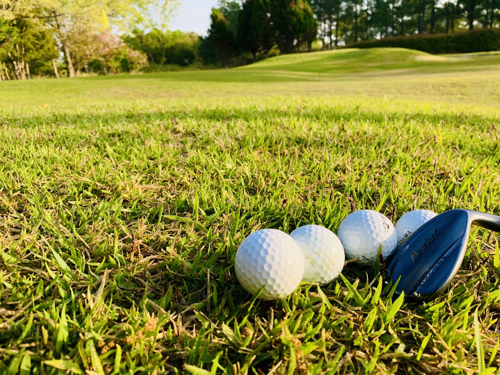 Fuji Ono Golf Club - 6