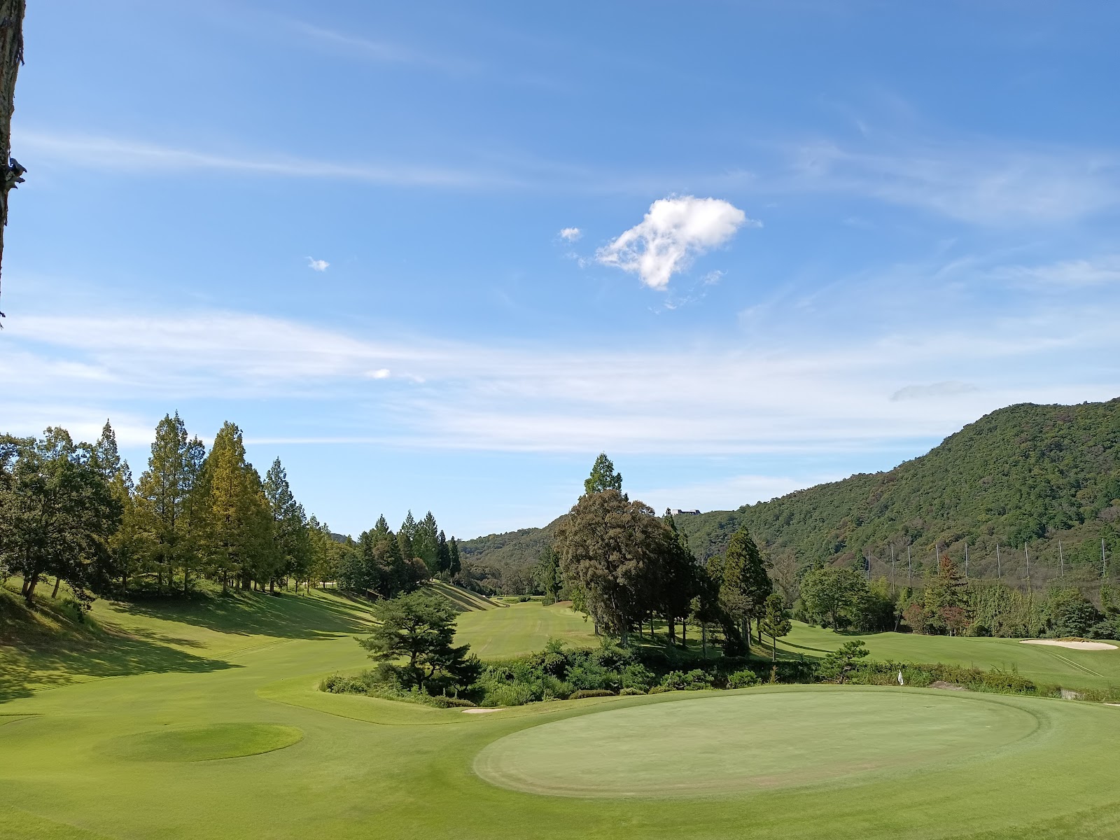 Zen Golf Club - 2