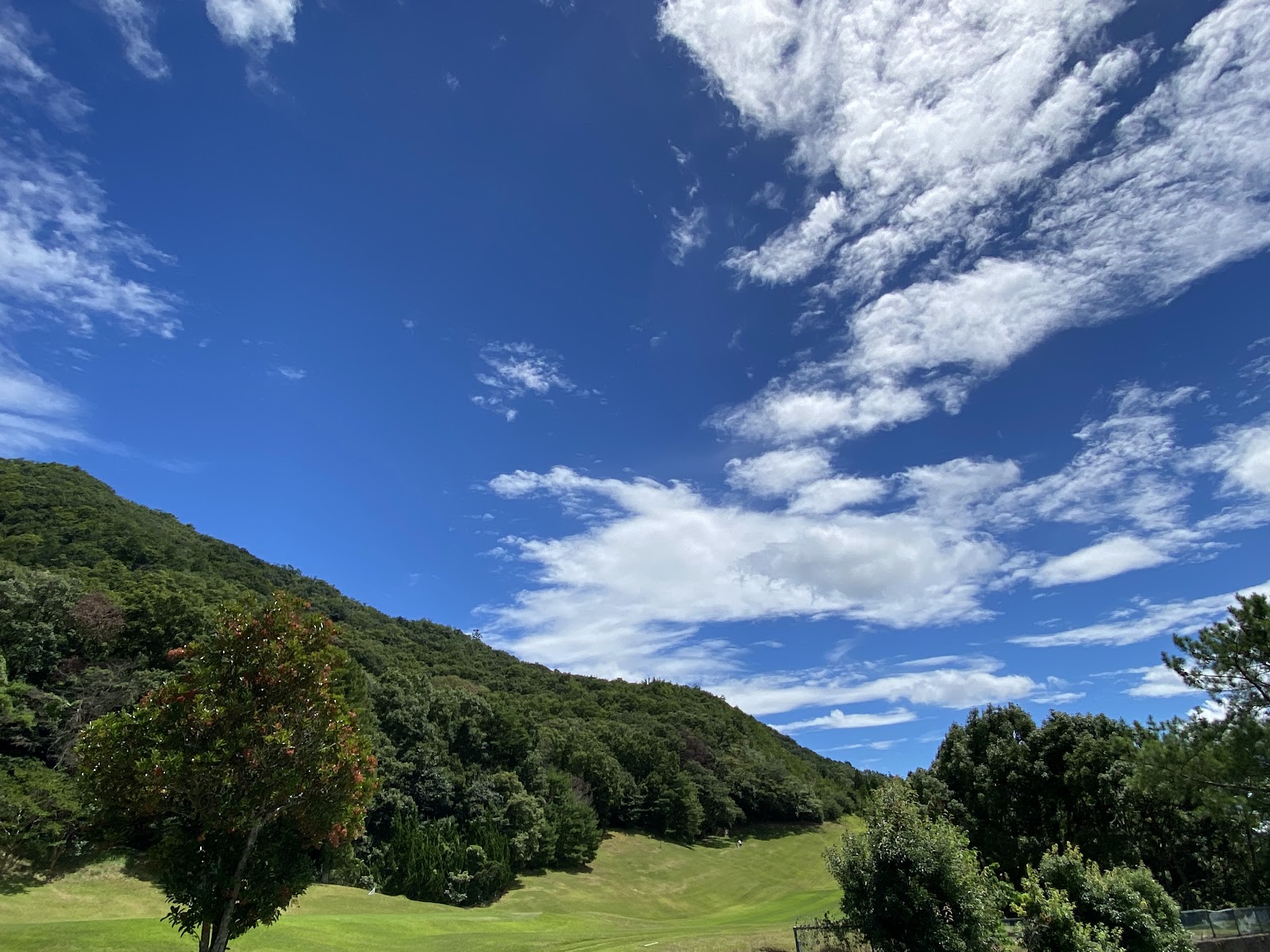 Zen Golf Club - 3