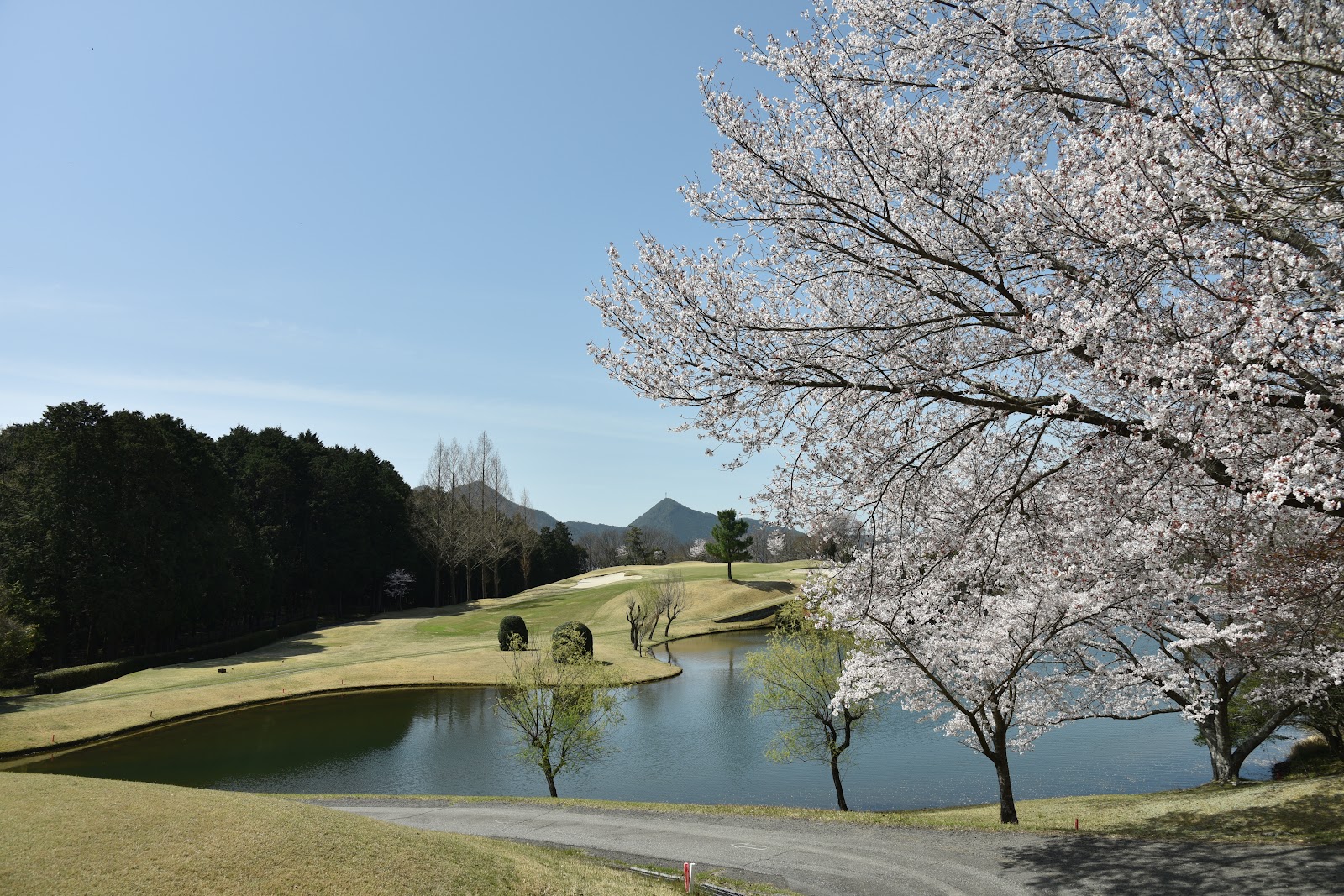 Nishiwaki Golf Club - 4