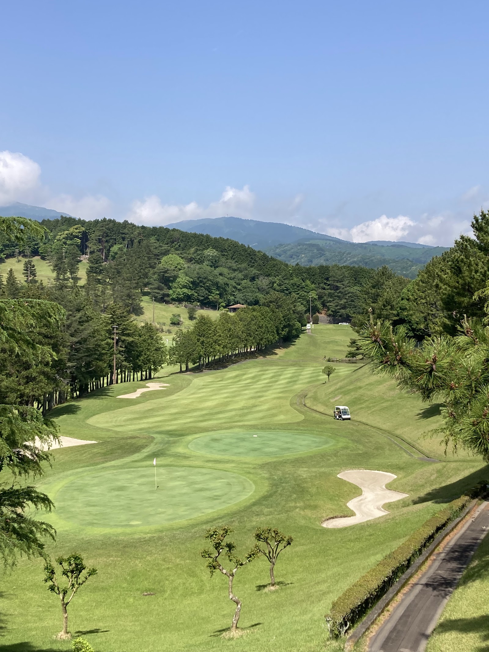 La Foret Shuzenji Country Club - 3