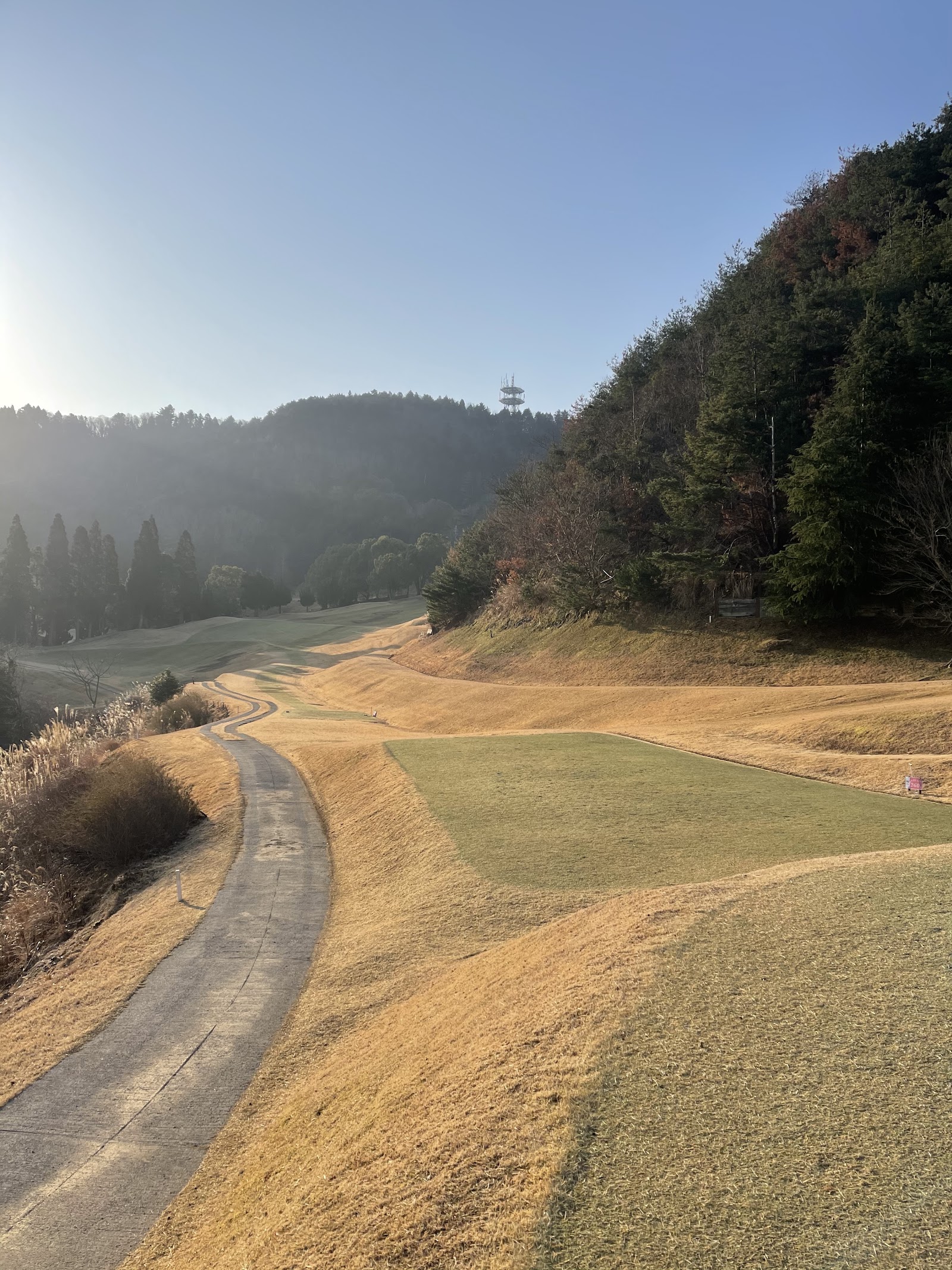 Cherry Golf Tokiwa-dai Course - 4
