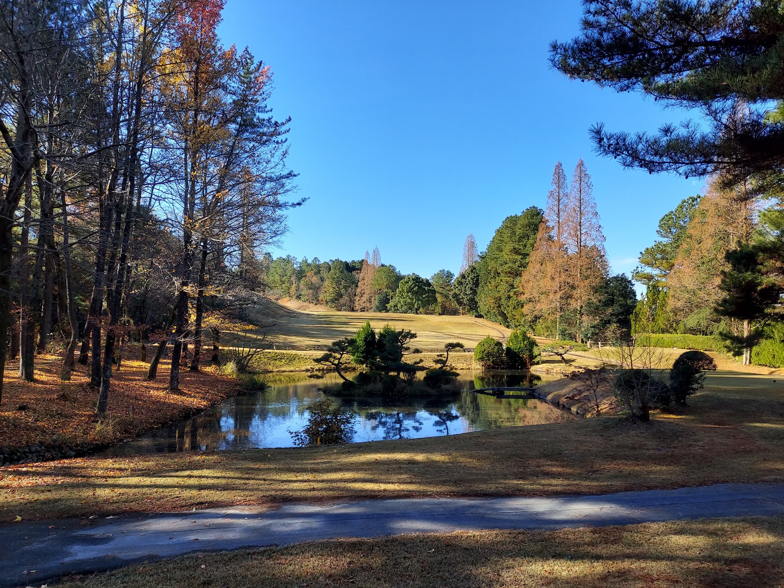 Aiki Country Club - 4