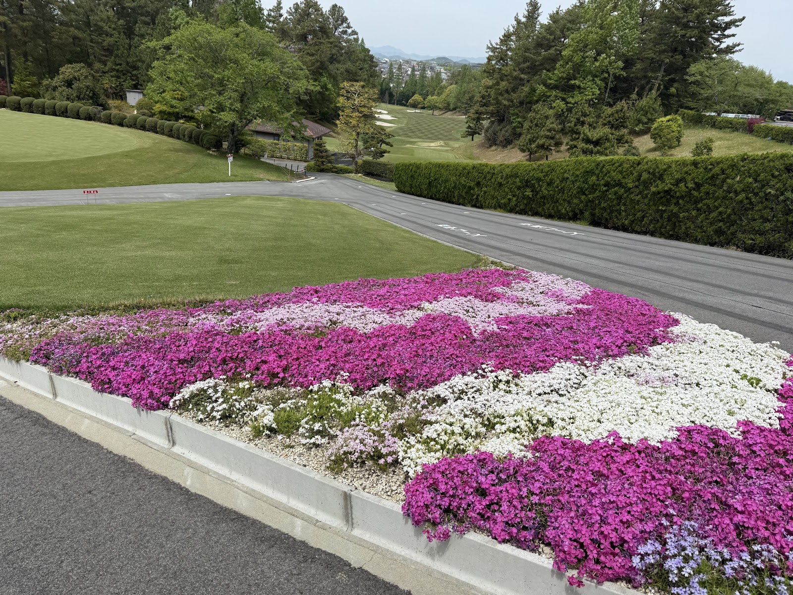 Aiki Country Club - 6