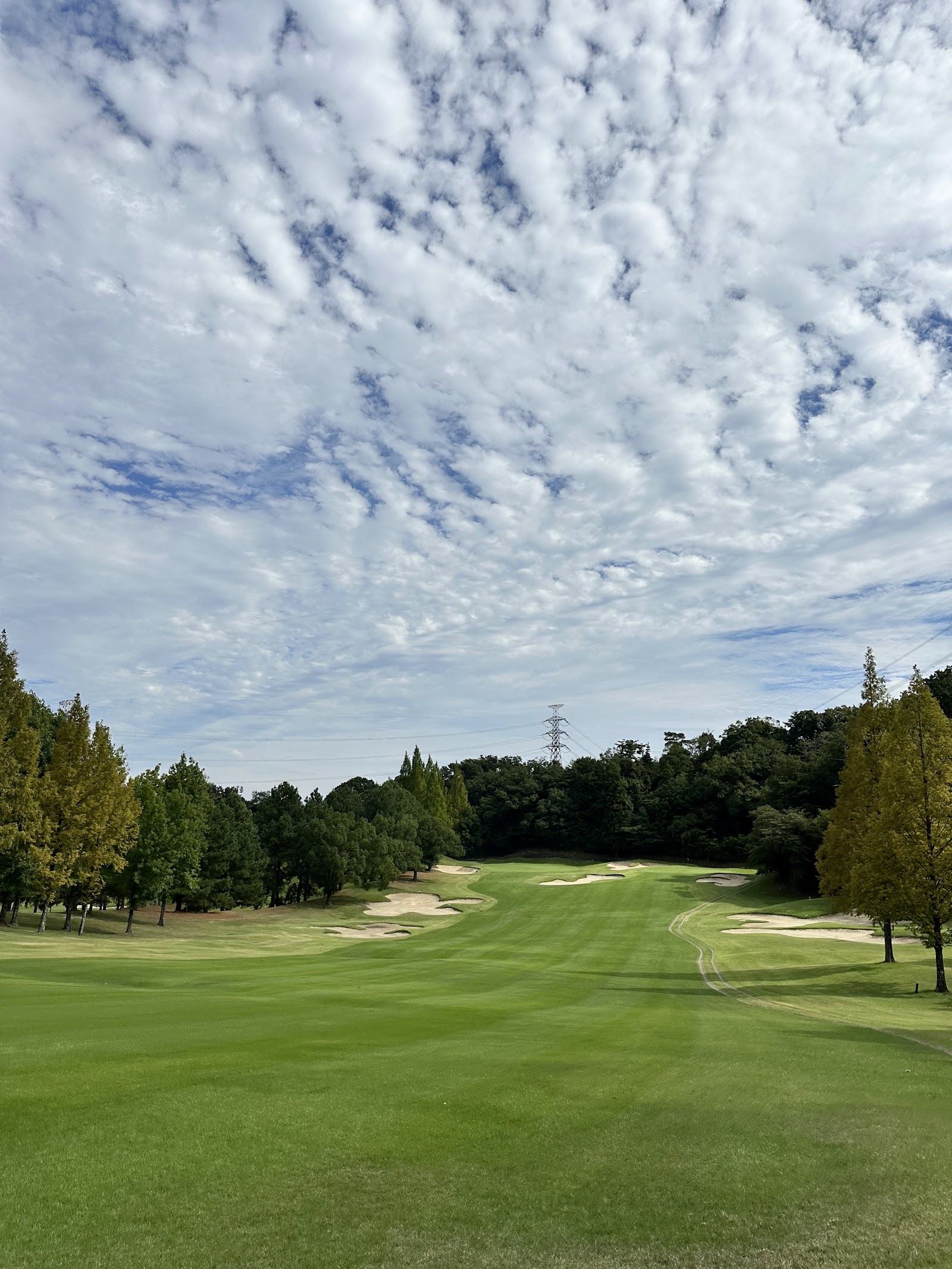 Shin-Osaka Golf Club - 3