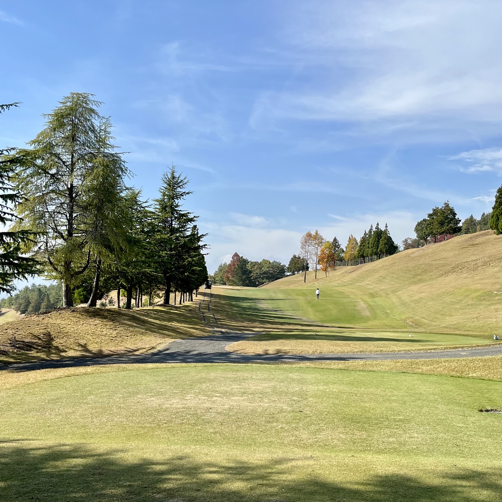 Bell Green Golf Club - 4