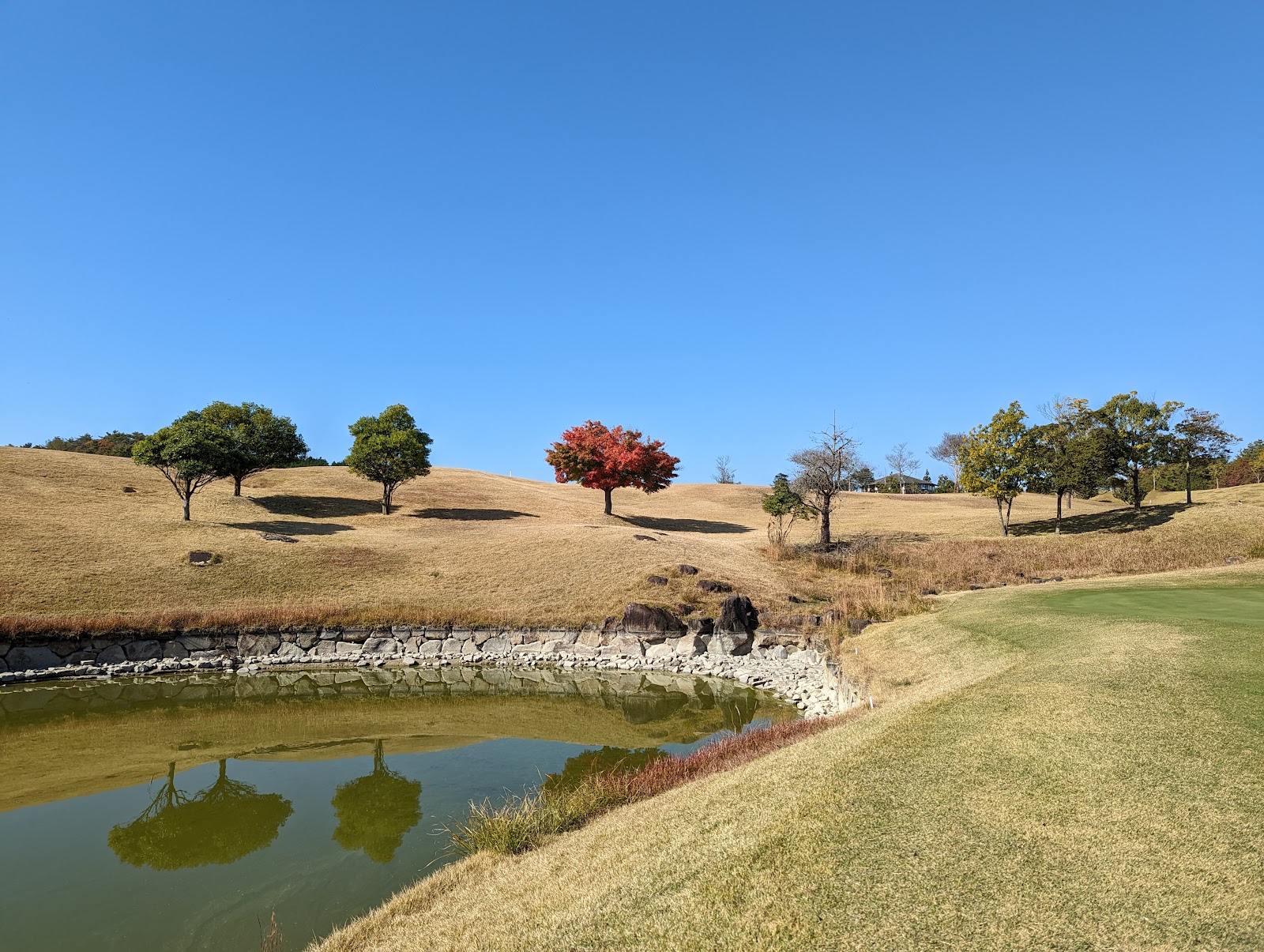 Murou 36 Golf Club - 6