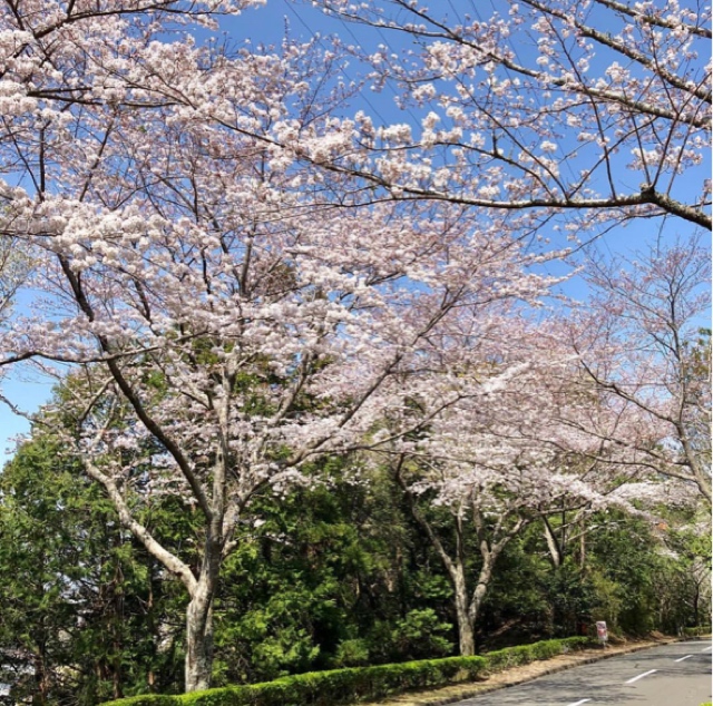 Katsuragi Golf Club - 6