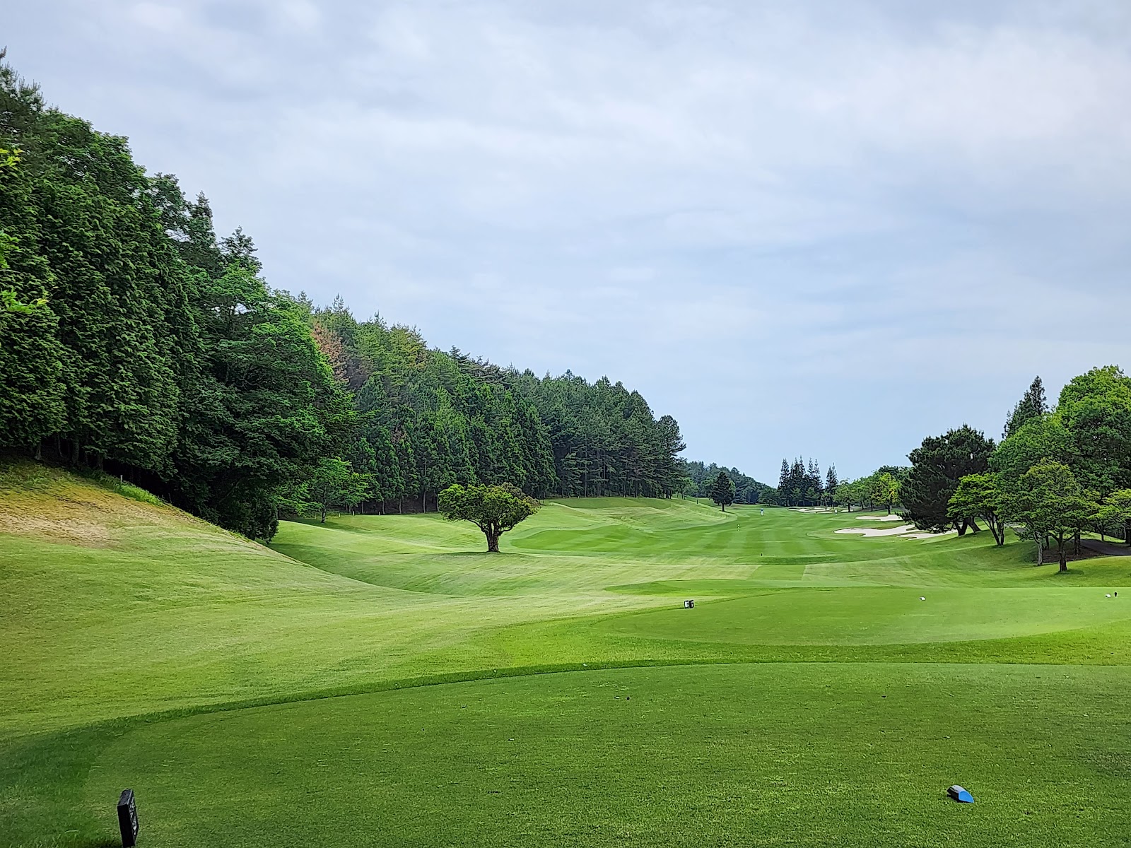 Manju Golf Club - 2