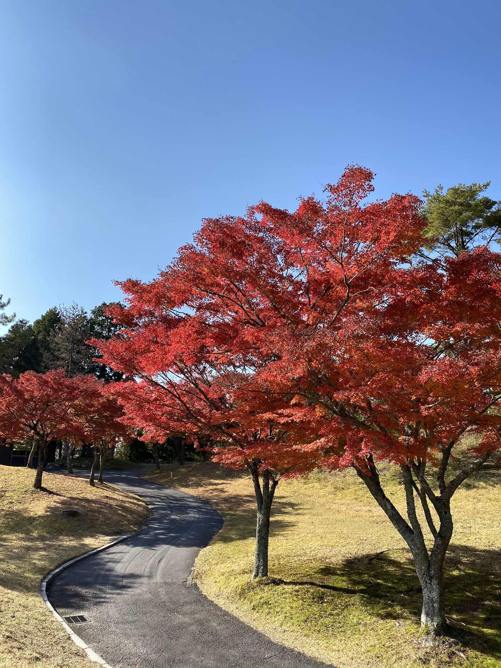 Shiga Country Club - 5