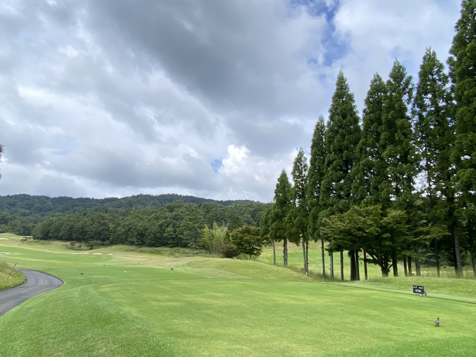 Shigaraki country club Sugiyama Course - 6