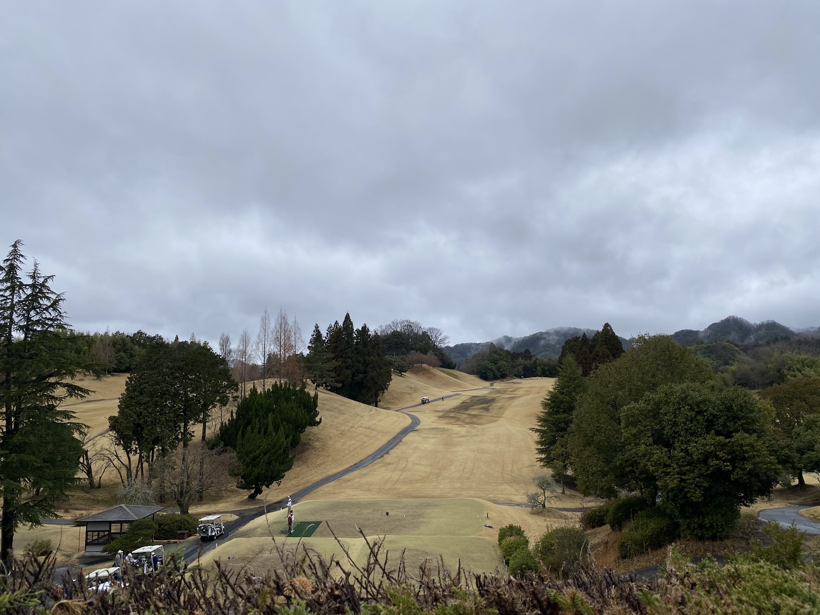 Aoyamadai Golf Club - 4