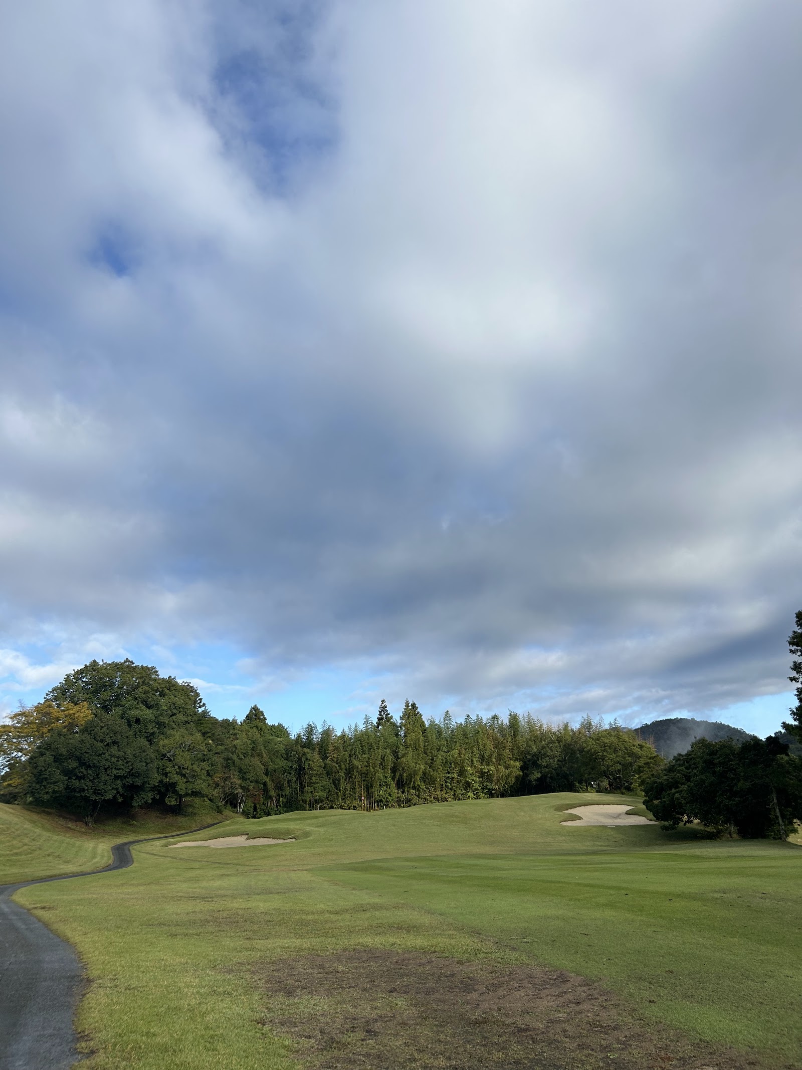Aoyamadai Golf Club - 6